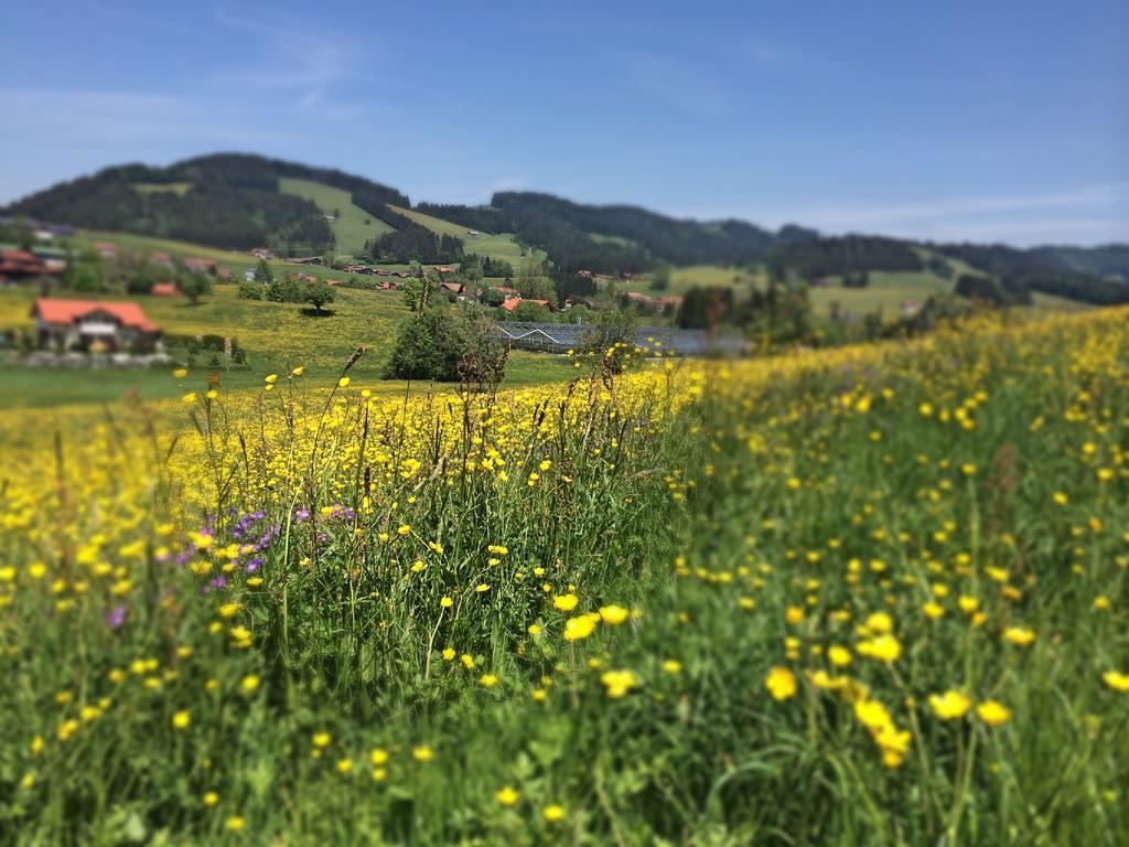 Sonnenhof - Ferienwohnung Oberstaufen Exteriér fotografie